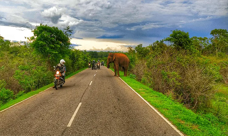 Ceylon Adventure Tours - Gallery Image 10